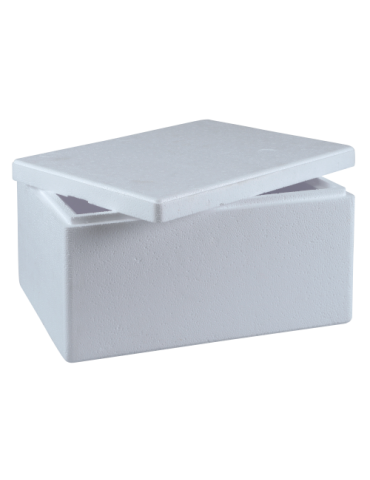Thermo box - EPS 133252